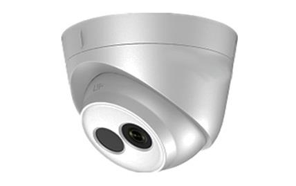 Camera IP Dome hồng ngoại 2.0 Megapixel HDPARAGON HDS-2120IRP/D